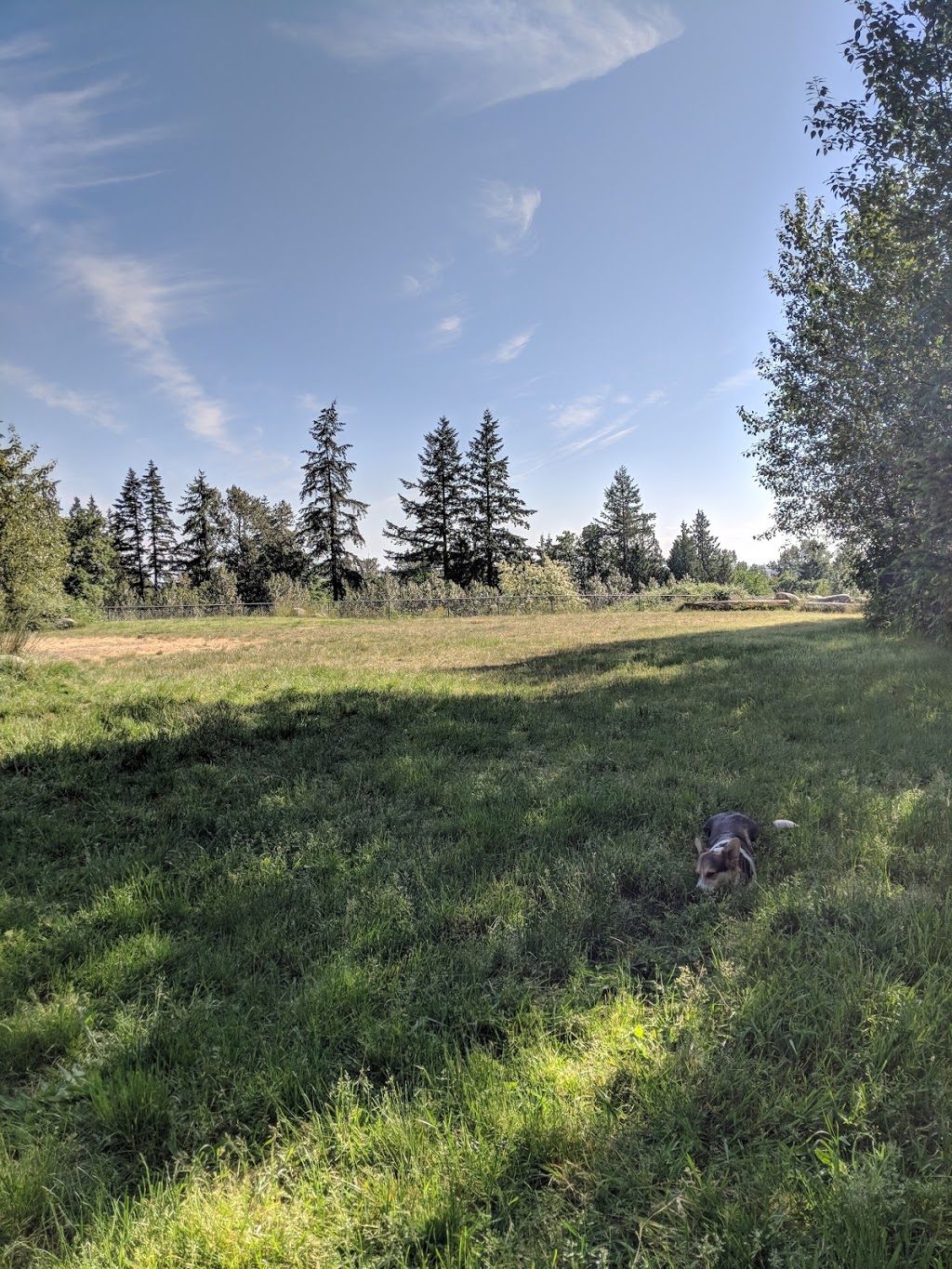 Taylor Park | 7599 Mission Ave, Burnaby, BC V3N 5C7, Canada