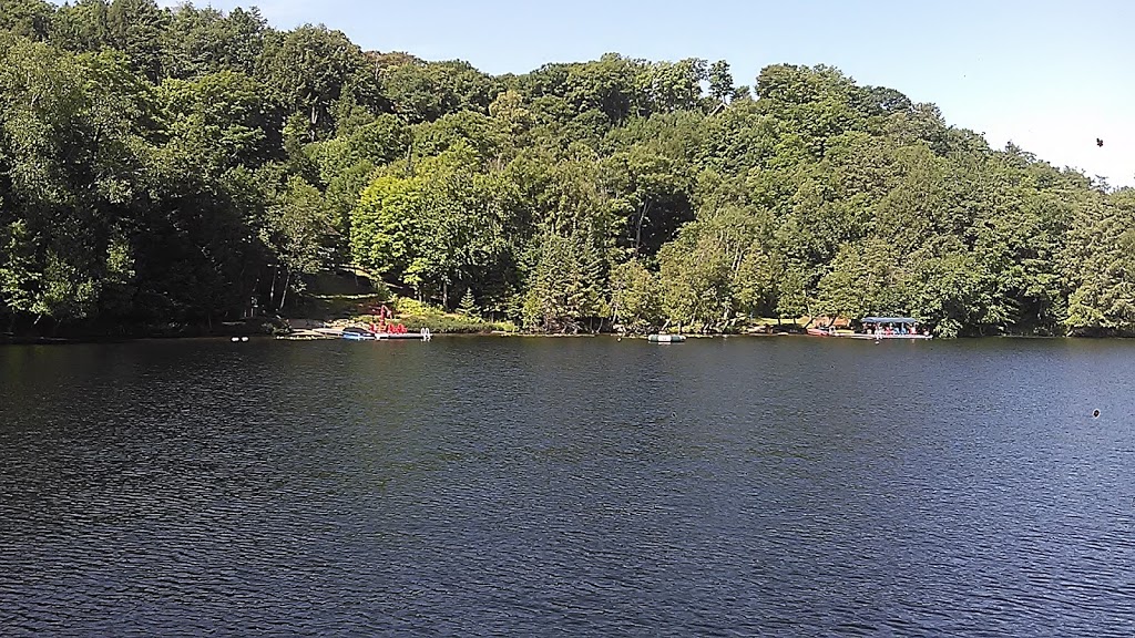 Pavey Tree-Spiderlift | Lake of Bays, ON P0B, Canada | Phone: (705) 635-8733