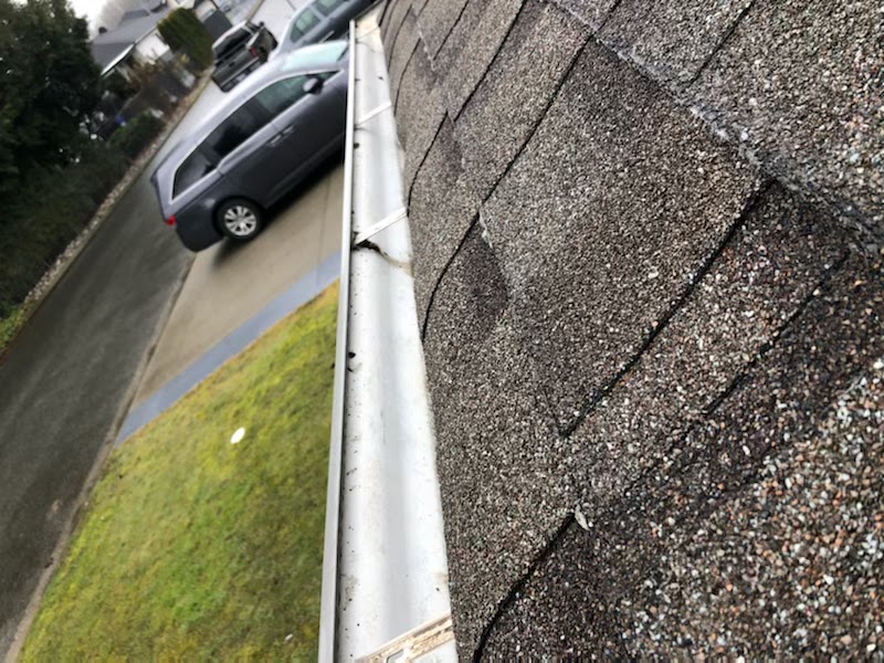 Mountainside Pressure Washing | 5-8724 BELLEVUE DR CHILLIWACK BC V2P0A, 8724 Bellevue Dr, Chilliwack, BC V2P 0A3, Canada | Phone: (604) 750-4179