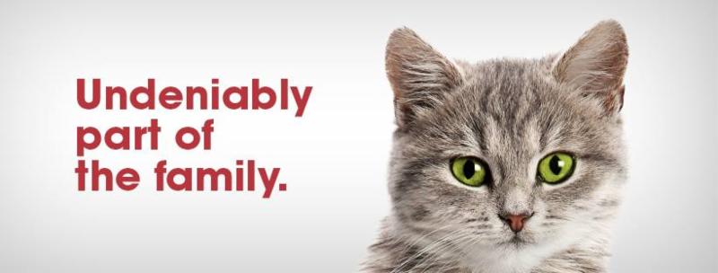 Global Pet Foods | 993 Fir St Unit 21, Sherwood Park, AB T8A 4N5, Canada | Phone: (587) 269-0220