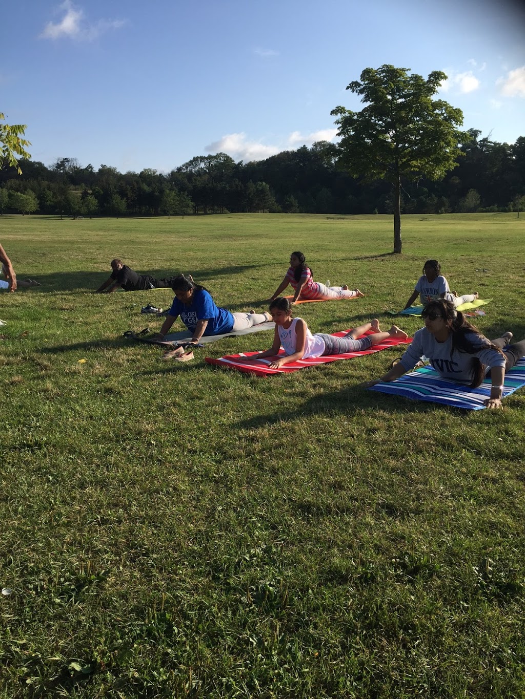 Online Yoga Classes @Vyaniti Canada | 455 Apache Ct #102, Mississauga, ON L4Z 3W8, Canada | Phone: (647) 640-7370