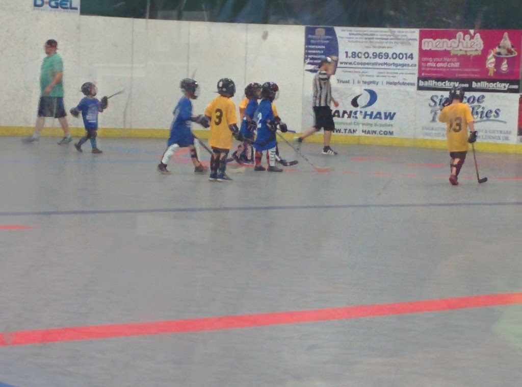 Niagara Ball Hockey Club | 16 Melbourne Ave, St. Catharines, ON L2P 3J8, Canada | Phone: (905) 646-0480