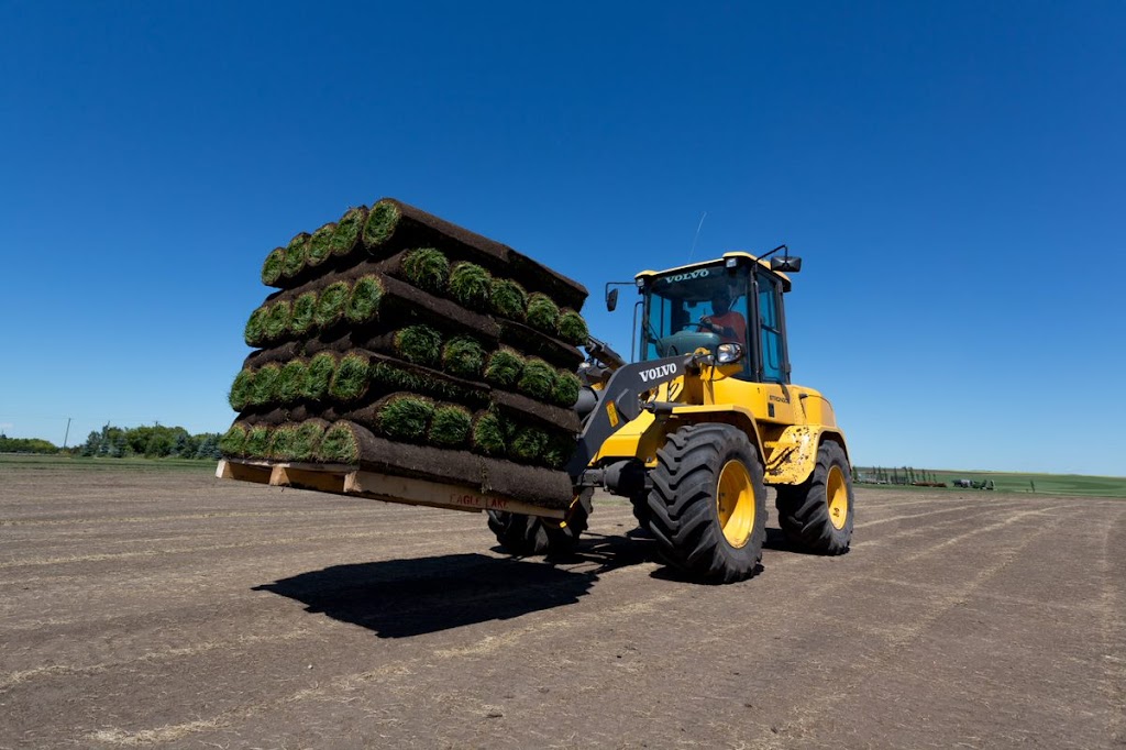 Eagle Lake Turf Farms | Township Rd 240 & Range Rd 243 Township Rd 240 &, Range Rd 243, Strathmore, AB T0J 3G0, Canada | Phone: (403) 934-6808