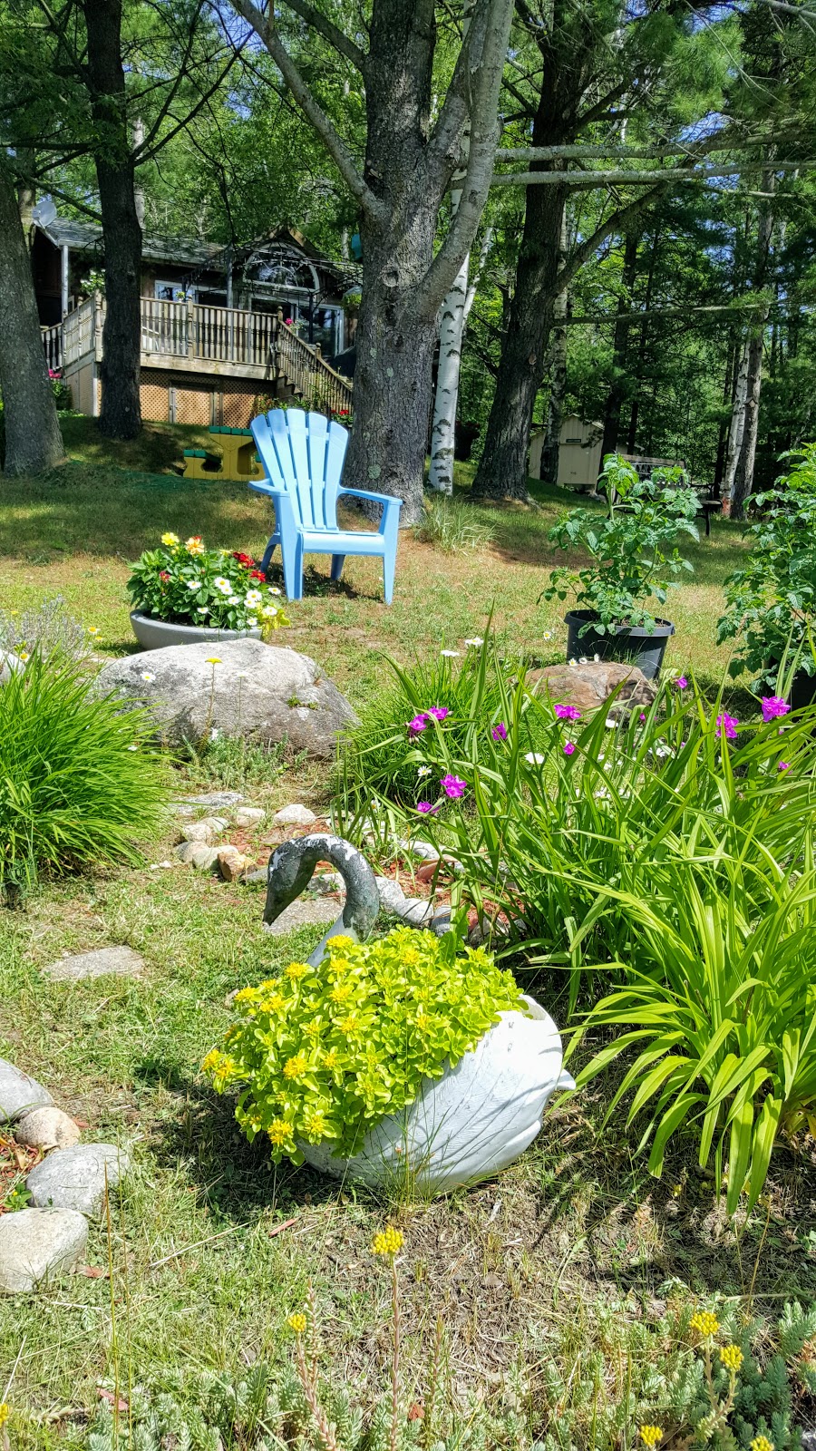 Pinnacle Park Camping | Pinnacle Hill Rd, Grafton, ON K0K 2G0, Canada | Phone: (905) 349-2291