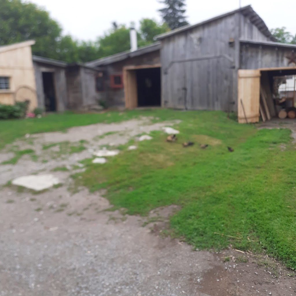 The Soap Shack | 339 Frizzell Rd, Tamworth, ON K0K 3G0, Canada | Phone: (613) 379-5171