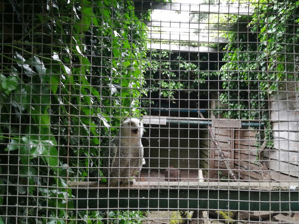 North Island Wildlife Recovery Centre | 1240 Leffler Rd, Errington, BC V0R 1V0, Canada | Phone: (250) 248-8534
