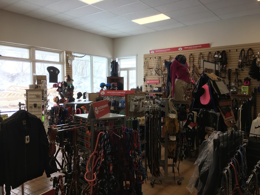 Sellerie Eleganza | 715 Rue Melançon, Saint-Bruno, QC G0W 2L0, Canada | Phone: (418) 550-0333