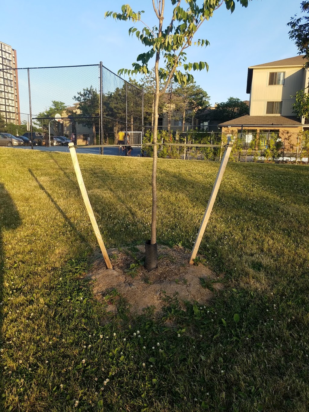 Lake Aquitaine Park Splash Pad | 2750 Aquitaine Ave, Mississauga, ON L5N 3K5, Canada | Phone: (905) 615-4100