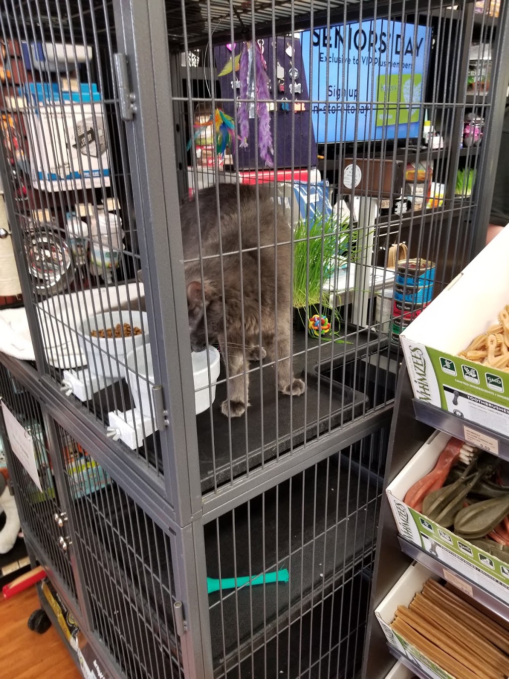 Bosleys by Pet Valu | 3675 Westminster Hwy, Richmond, BC V7C 5V2, Canada | Phone: (604) 276-0083