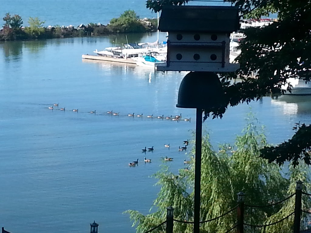 Colchester Harbour B&B | 53 Sullivan St, Harrow, ON N0R 1G0, Canada | Phone: (226) 207-0400