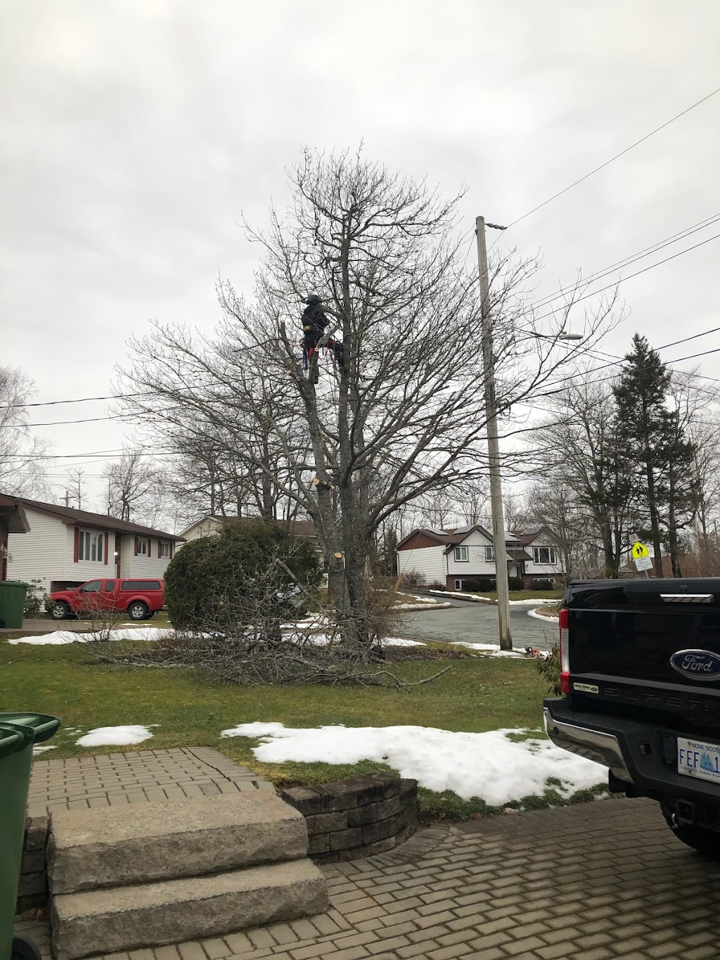 White Wolf Tree Service | 90 Wakefield Ct, Middle Sackville, NS B4E 0H1, Canada | Phone: (902) 414-6429