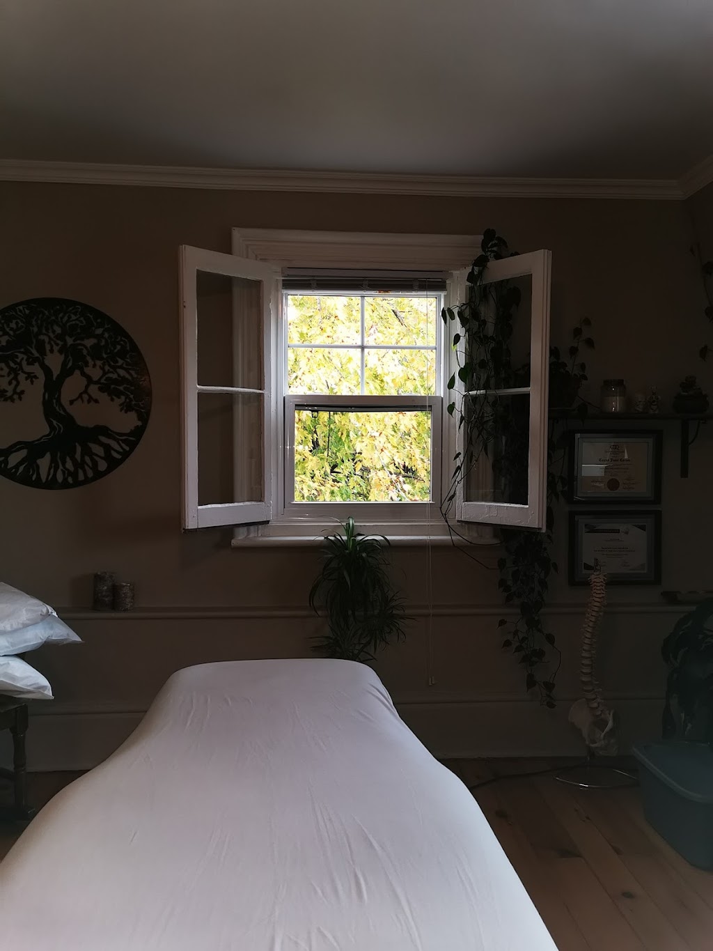 Teena June Caron Ostéopathe | 1969 Bd de Périgny Suite 102, Chambly, QC J3L 4C3, Canada | Phone: (514) 434-9389