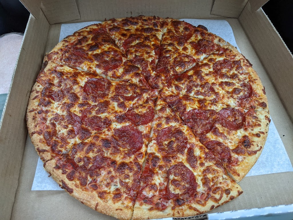 Pizzalicious Express | 160 Tapton Ave, Princeton, BC V0X 1W0, Canada | Phone: (250) 295-3300