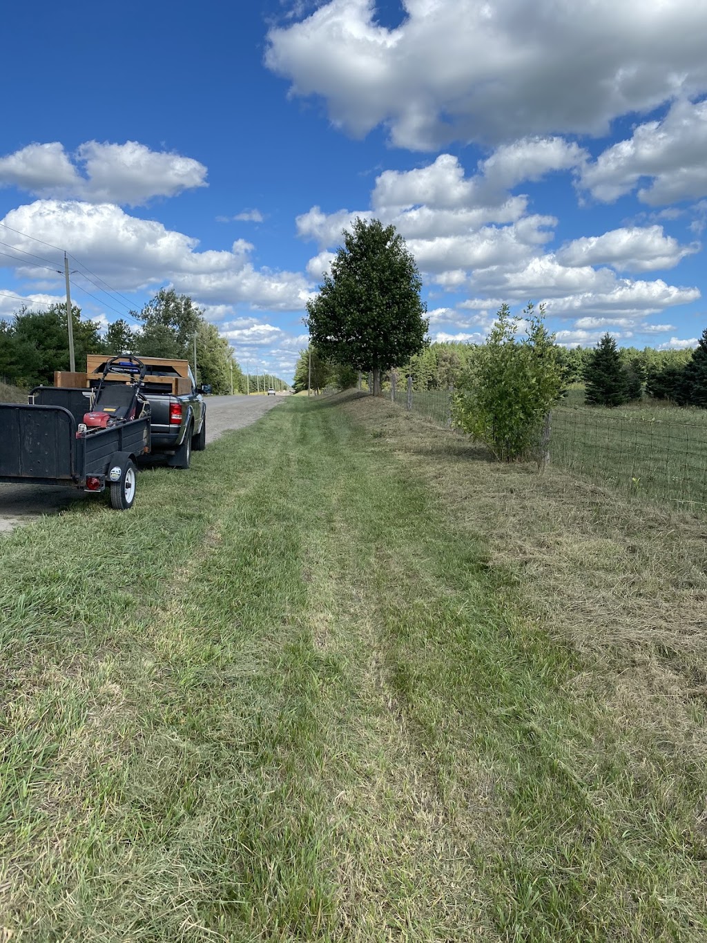 Ginkgo Ridge Lawn & Garden | 83 Bloomington Dr, Cambridge, ON N1P 1J5, Canada | Phone: (519) 589-4507