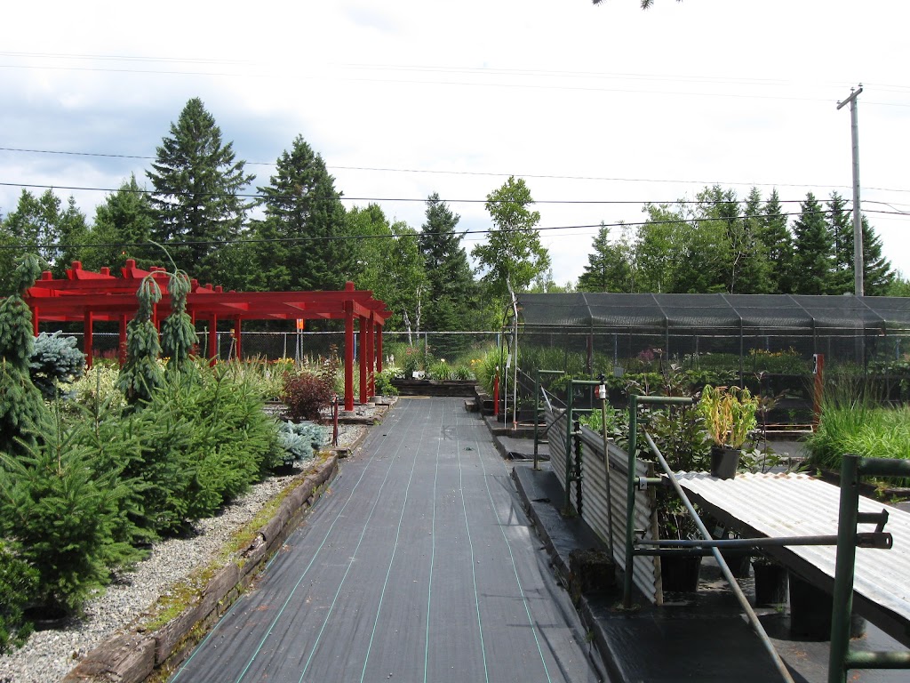 Centre Jardin André Poirier Enr | 860 Rue St Alphonse-Sud, Thetford Mines, QC G6G 5R9, Canada | Phone: (418) 338-0290
