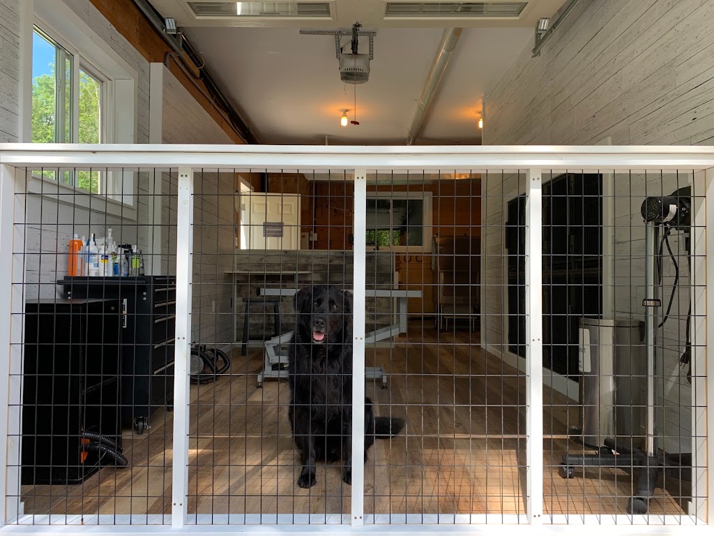 The Laundromutt | 4943 10 Line, Terra Cotta, ON L0P 1N0, Canada | Phone: (905) 580-9065