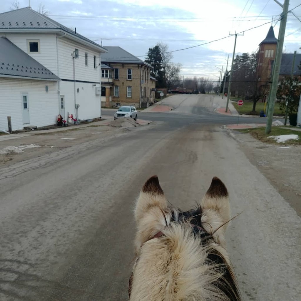 Robinson Riding Academy | 5325 Ament Line, Linwood, ON N0B 2A0, Canada | Phone: (519) 807-2563
