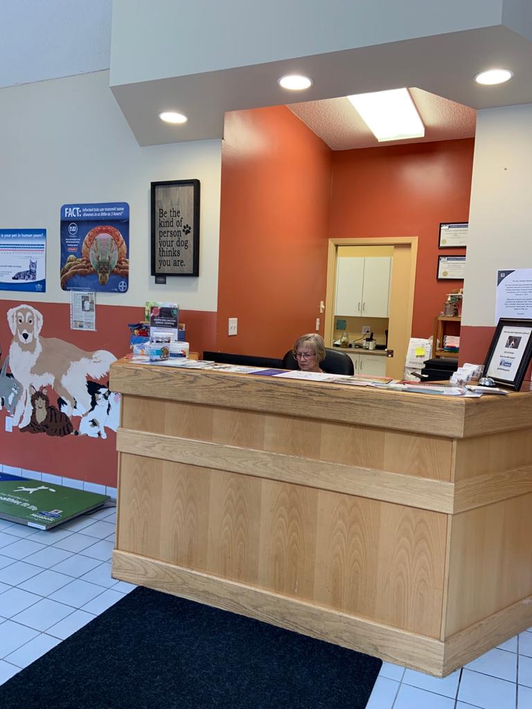 North Wellington Animal Hospital | 248 Main St S, Mount Forest, ON N0G 2L2, Canada | Phone: (519) 323-2060