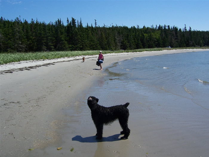 Sawmill Landing | 8073 Nova Scotia Trunk 7, Sherbrooke, NS B0J 3C0, Canada | Phone: (902) 522-2343