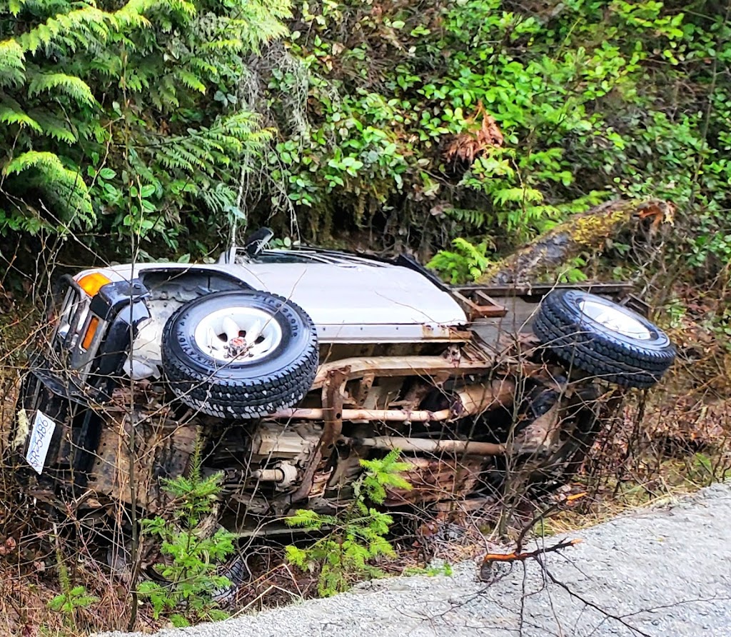 Lowered expectations | 2057 Gillies Bay Rd, Van Anda, BC V0H 3K0, Canada | Phone: 661-0543