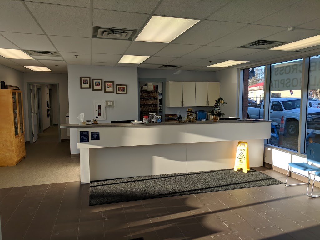 Blue Cross Animal Hospital | 9103 111 Ave NW, Edmonton, AB T5B 0C3, Canada | Phone: (780) 424-0025
