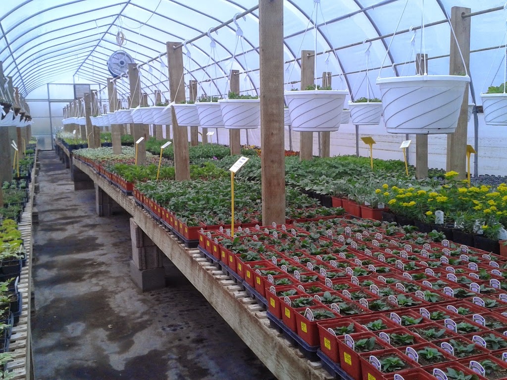 Cheyenne Tree Farms Ltd | 24309 Township Road 510, Beaumont, AB T4X 1K8, Canada | Phone: (780) 929-8102
