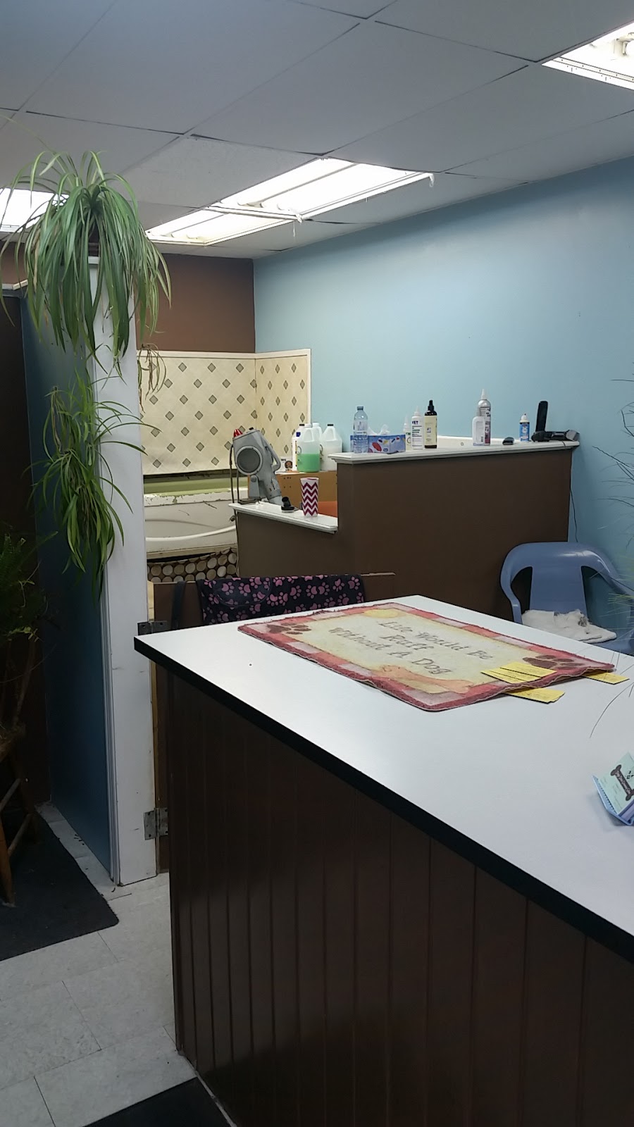 Doggie Dooze | 92 Main St S, Seaforth, ON N0K 1W0, Canada | Phone: (519) 527-0319