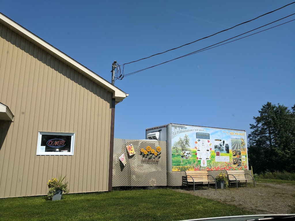 Miel Pur Délice | 815 QC-141, Coaticook, QC J1A 2S5, Canada | Phone: (819) 849-9994