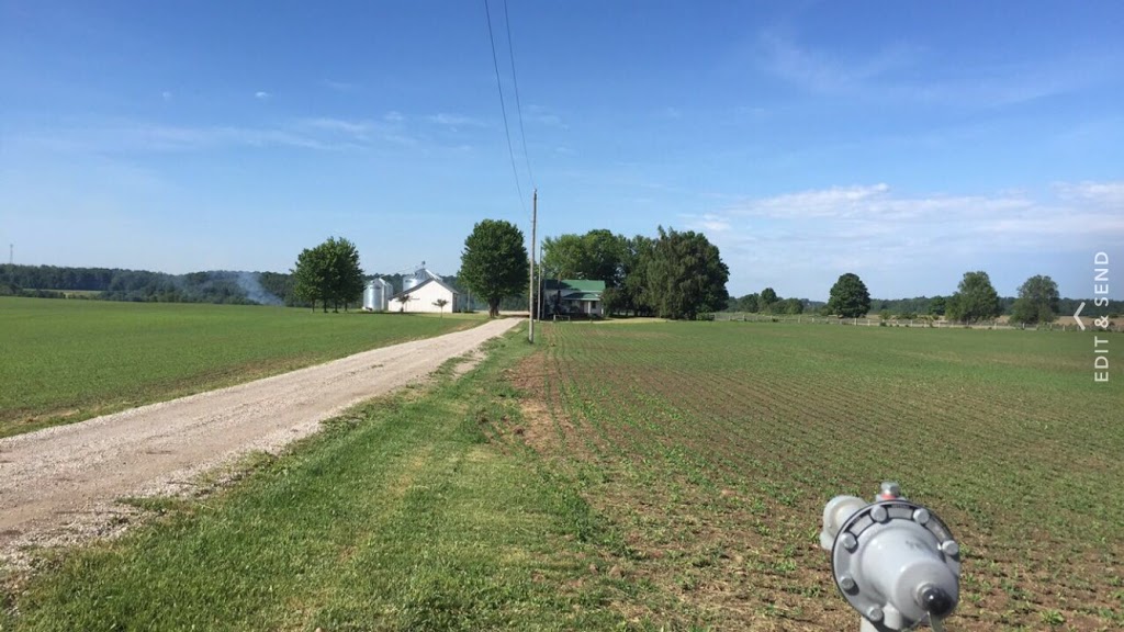 Schilder Organics Ltd | 39705 Belgrave Rd, Belgrave, ON N0G 1E0, Canada | Phone: (639) 590-4090