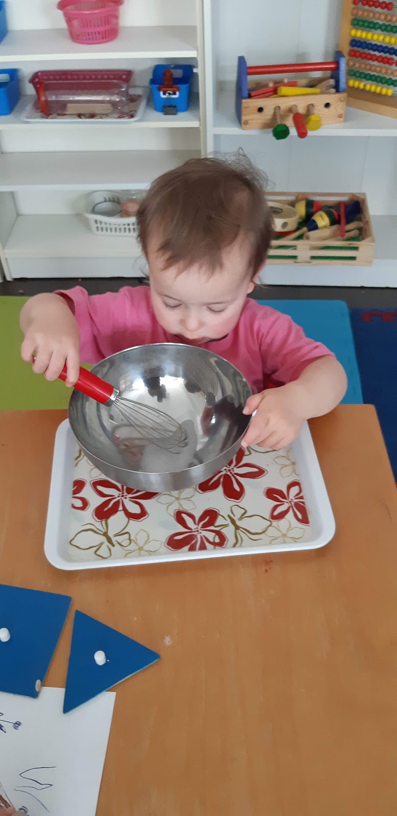 Little folks home montessori | 71-61 Meritage Ln, Hamilton, ON L8G 0B4, Canada | Phone: (416) 666-9781