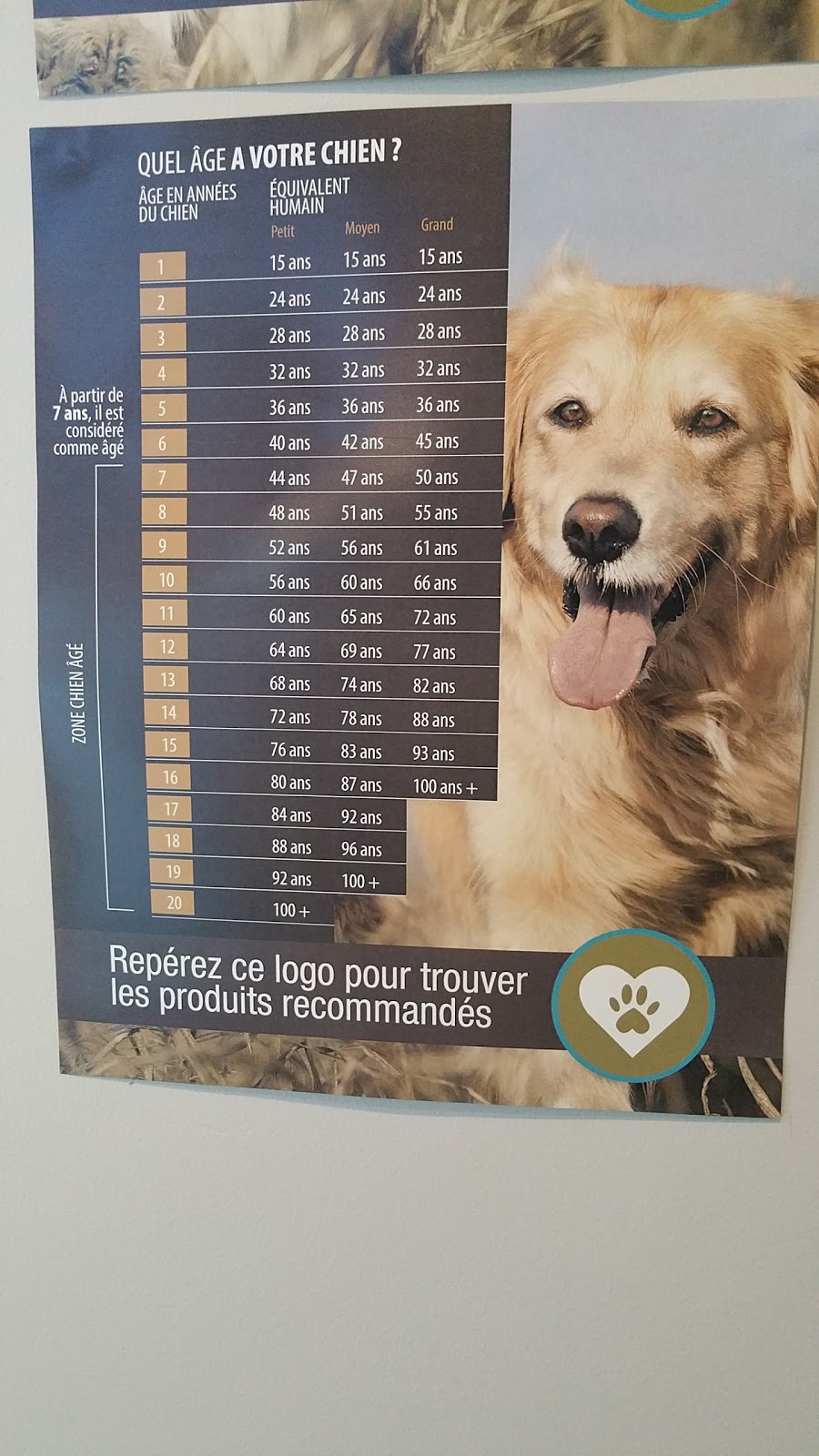 Hôpital Vétérinaire Coeur de Lotbinière (Vetcom) | 140 Rue Olivier, Laurier-Station, QC G0S 1N0, Canada | Phone: (418) 728-5121