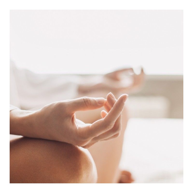 Lemaître Yoga | 7645 Ave des Verveines, Québec, QC G1G 5P4, Canada | Phone: (581) 999-7331