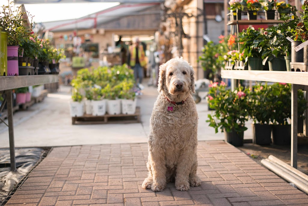 Baltimore Valley Nursery/Garden Centre | 5599 45, Baltimore, ON K0K 1C0, Canada | Phone: (905) 372-2662
