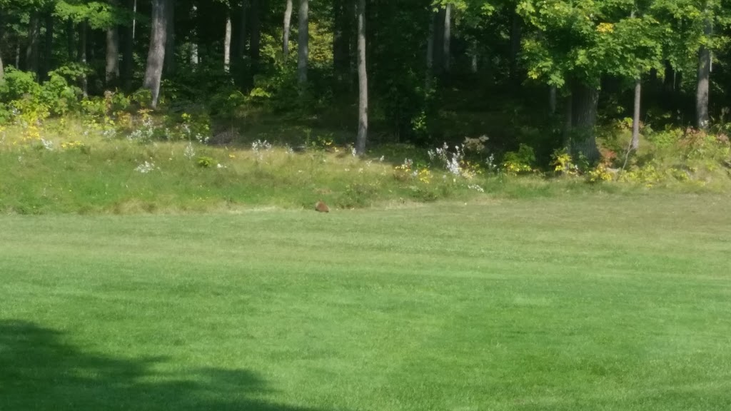 Trillium Wood Golf Club | 1281 ON-37, Corbyville, ON K0K 1V0, Canada | Phone: (613) 477-1831
