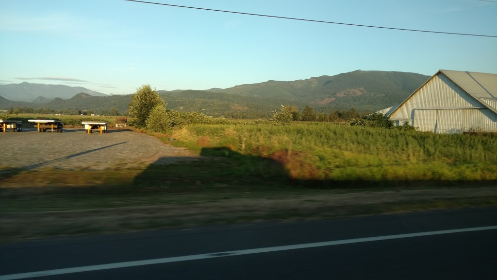 4K Trucking Inc | 8768 Nooksack Rd, Everson, WA 98247, USA | Phone: (360) 815-2118