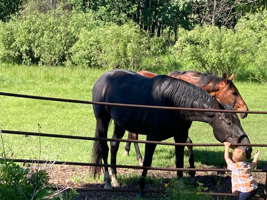 Miller Pine Meadows | 48310 RR 261, Leduc County, AB T4X 2J6, Canada | Phone: (780) 886-6282