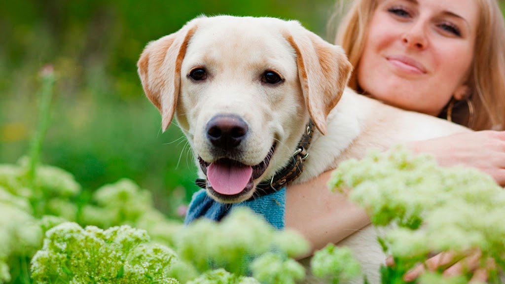 Alpha Animal Hospital | 2362 Whatcom Rd #125, Abbotsford, BC V3G 0C1, Canada | Phone: (604) 859-6322