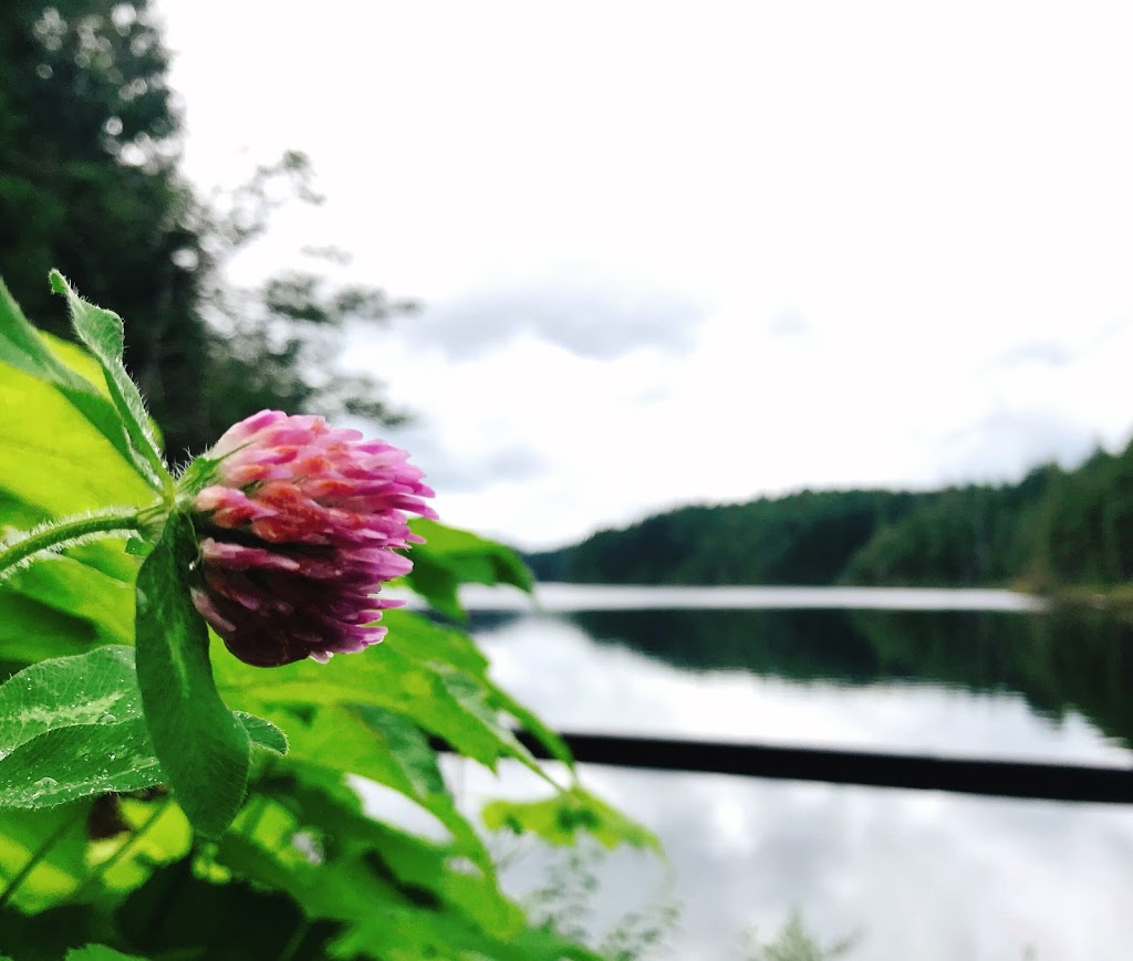 Stocking Lake Regional Park | 0A8, Stocking Lake Trail, Ladysmith, BC V9G 2C4, Canada | Phone: (250) 746-2500