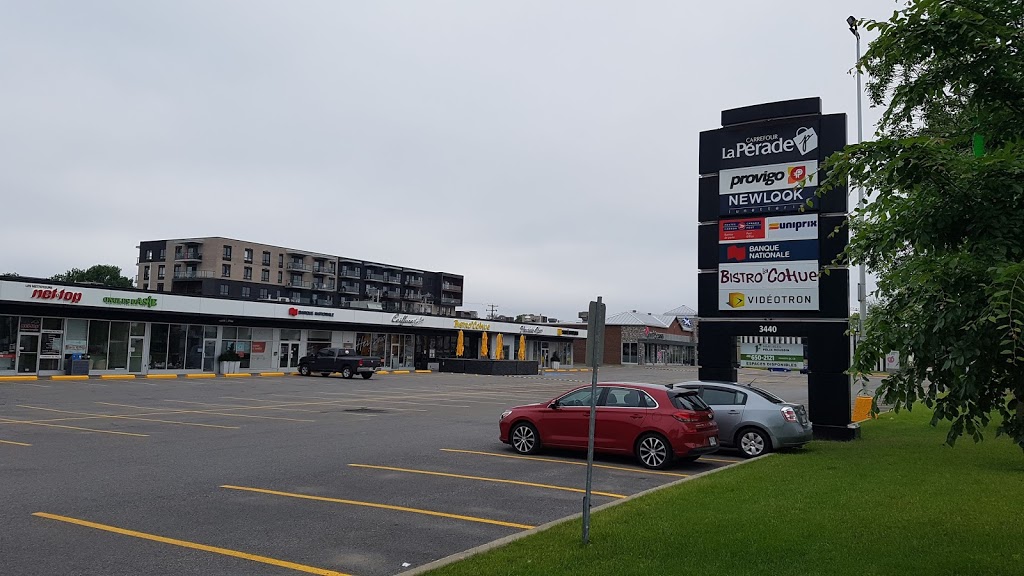 Archer Fleuriste Inc | 3440 Chemin des Quatre-Bourgeois, Québec, QC G1W 4T3, Canada | Phone: (418) 653-7284