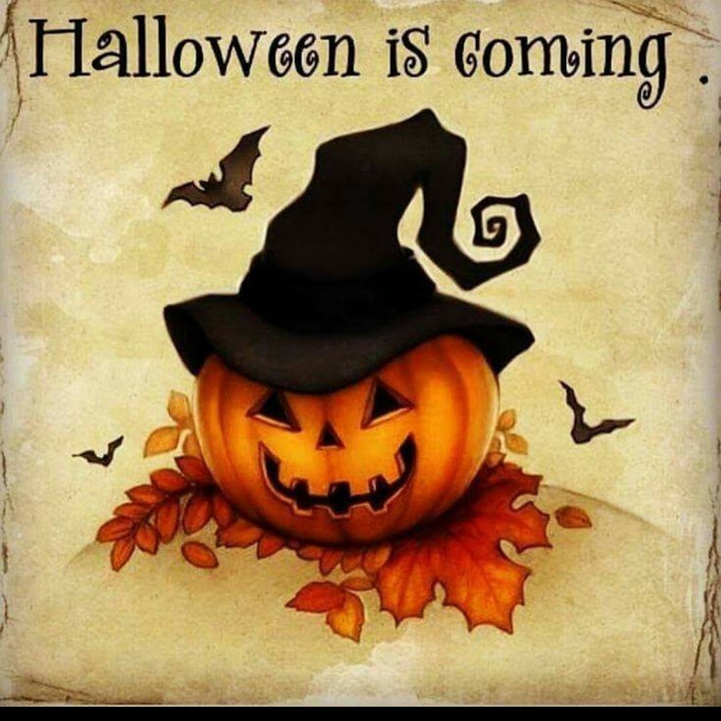 Costume Hut | Down town Ledwyn 14050, Road 136 North, Rd 14 E, Ledwyn, MB R0C 2R0, Canada | Phone: (204) 651-3191
