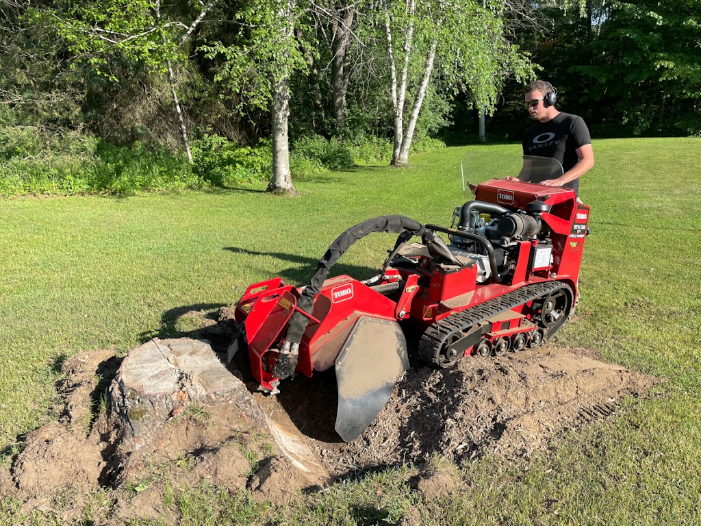 The Stump Pro | 19138 Kennedy Rd, Sharon, ON L0G 1V0, Canada | Phone: (905) 251-8905