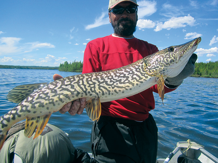 Laurie River Lodge Ltd | RR 2 Stn Main, Ponoka, AB T4J 1R2, Canada | Phone: (800) 426-2533