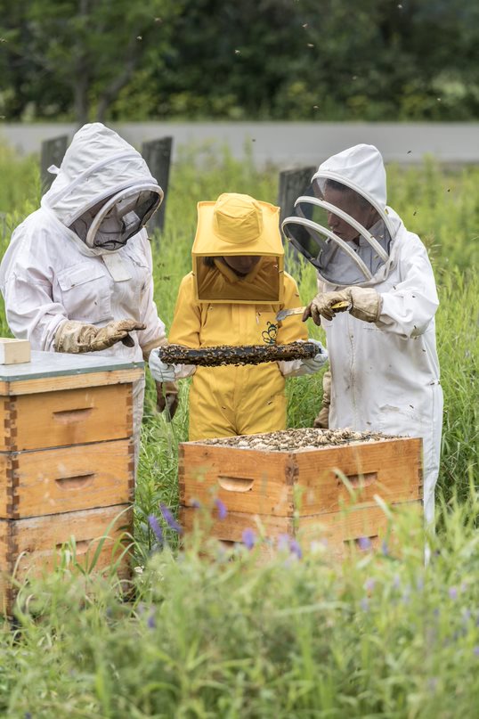 Ranch des sabots et des ailes | 800 Chem. de la Station, Saint-Boniface, QC G0X 2L0, Canada | Phone: (819) 698-9863