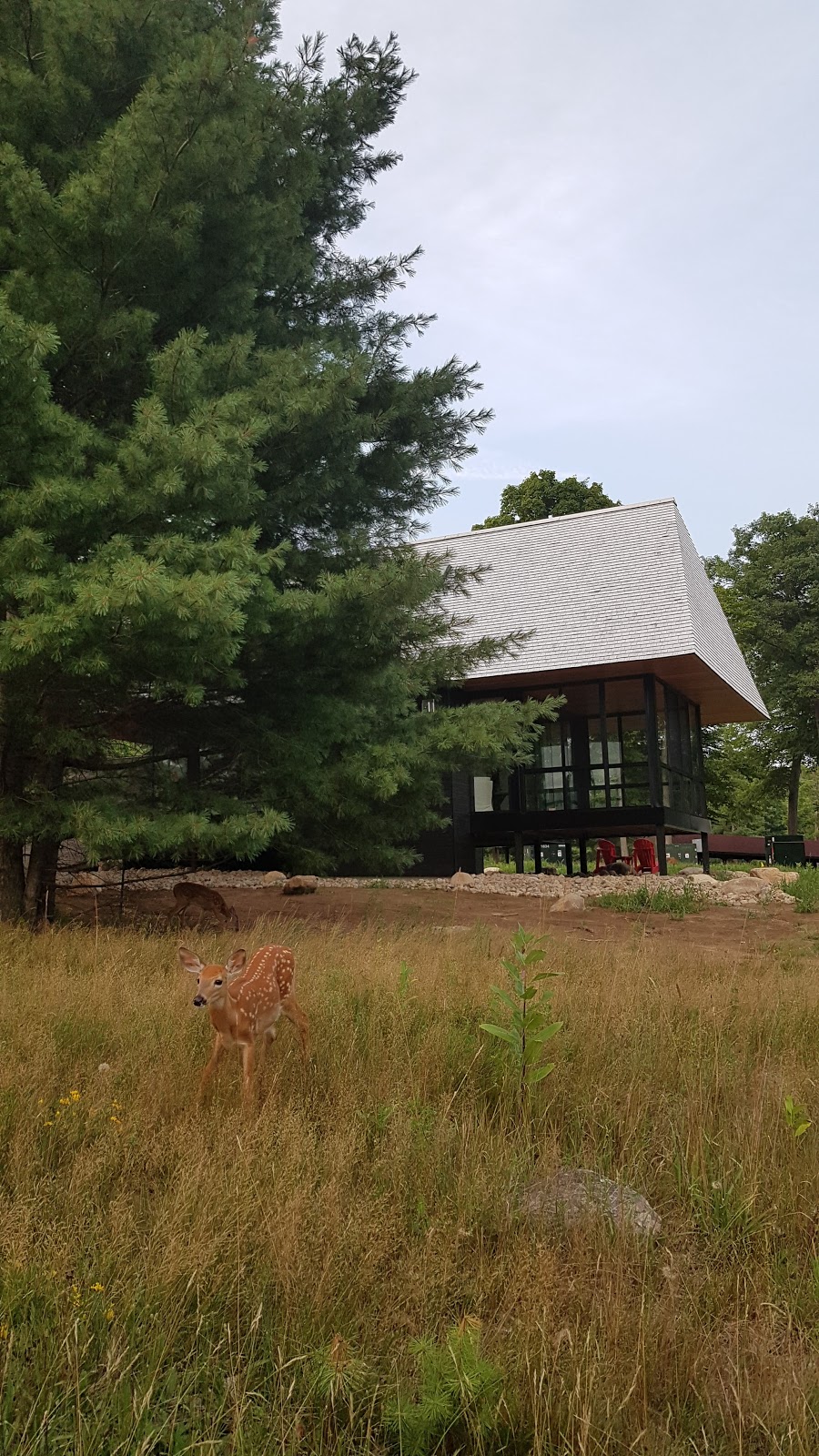 Bigwin Island Golf Club | 1137 Old Highway 117, Baysville, ON P0B 1A0, Canada | Phone: (705) 635-2582