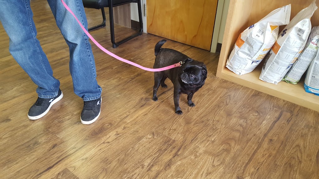 Berwick Animal Hospital | 4242 Nova Scotia Trunk 1, Berwick, NS B0P 1E0, Canada | Phone: (902) 538-8039