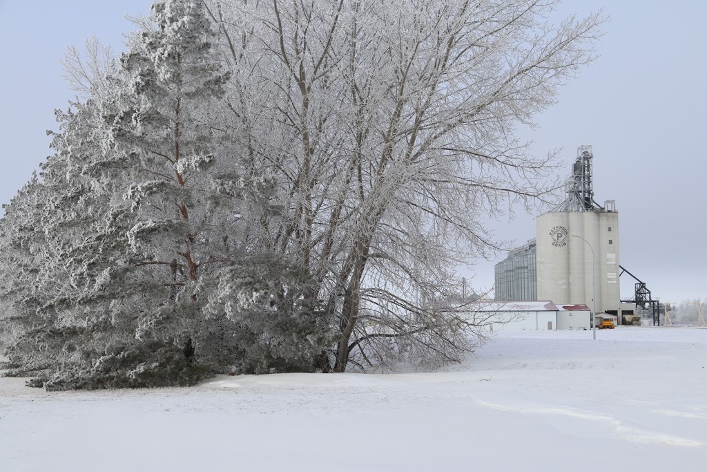 Paterson Grain | 549 Industrial Dr, Indian Head, SK S0G 2K0, Canada | Phone: (306) 695-3744