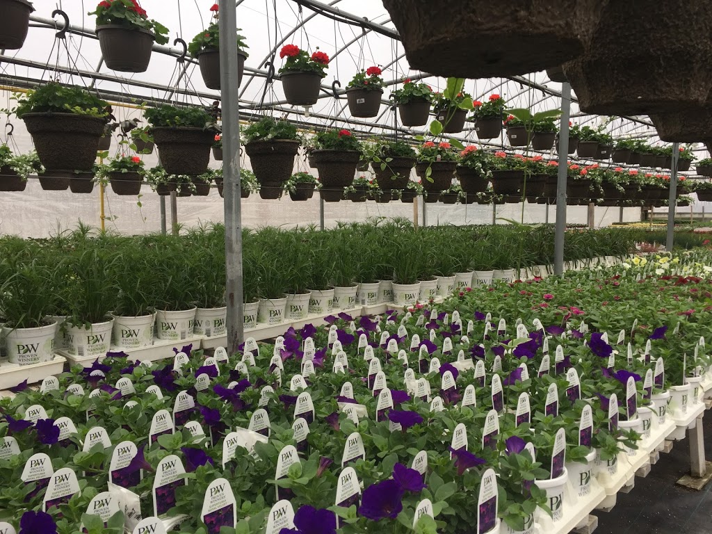 Lucan Country Gardens | 34603 Richmond St, Lucan, ON N0M 2J0, Canada | Phone: (519) 227-1716