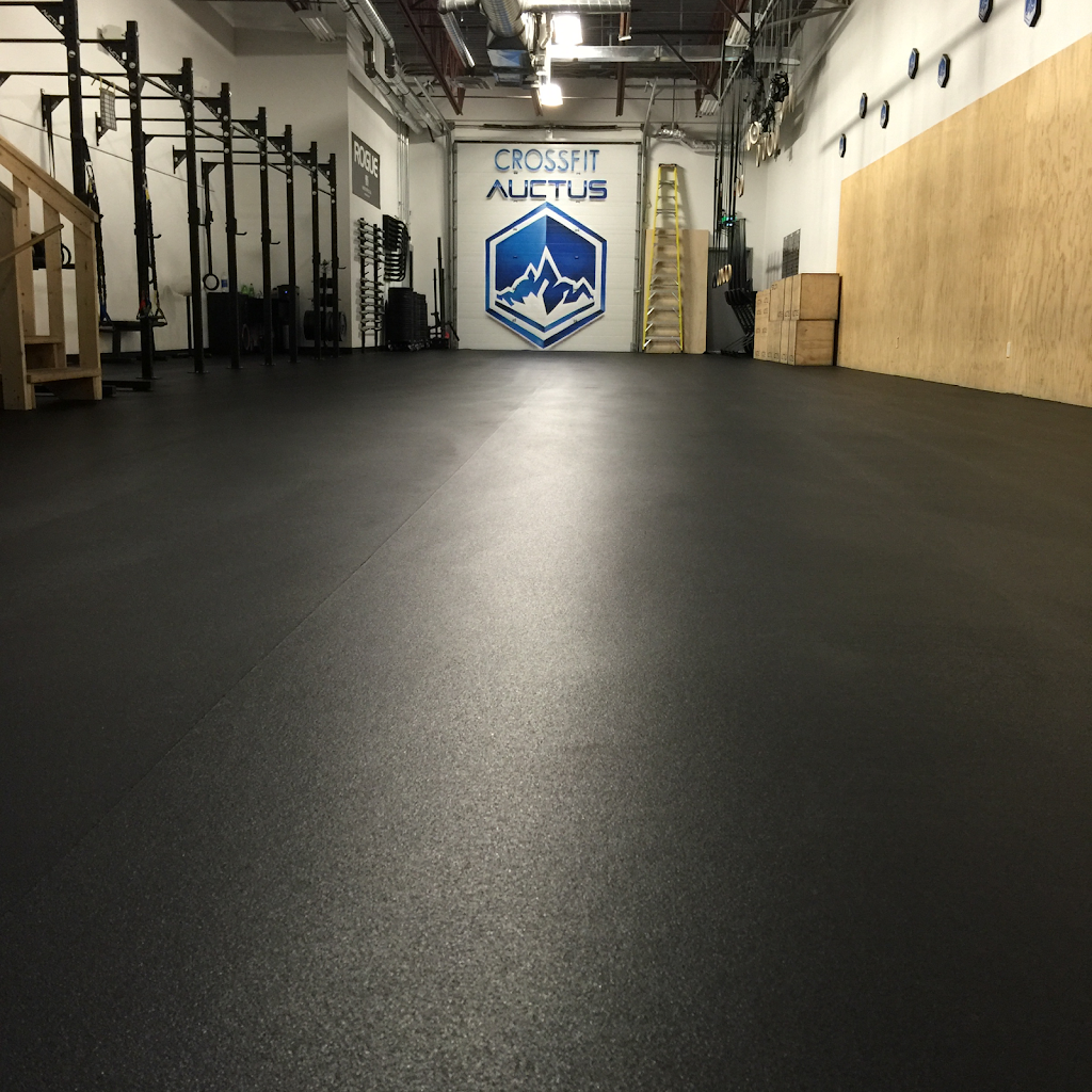 CrossFit auctus | 2091 Plessis Rd #5, Winnipeg, MB R3W 1S4, Canada | Phone: (204) 777-1044