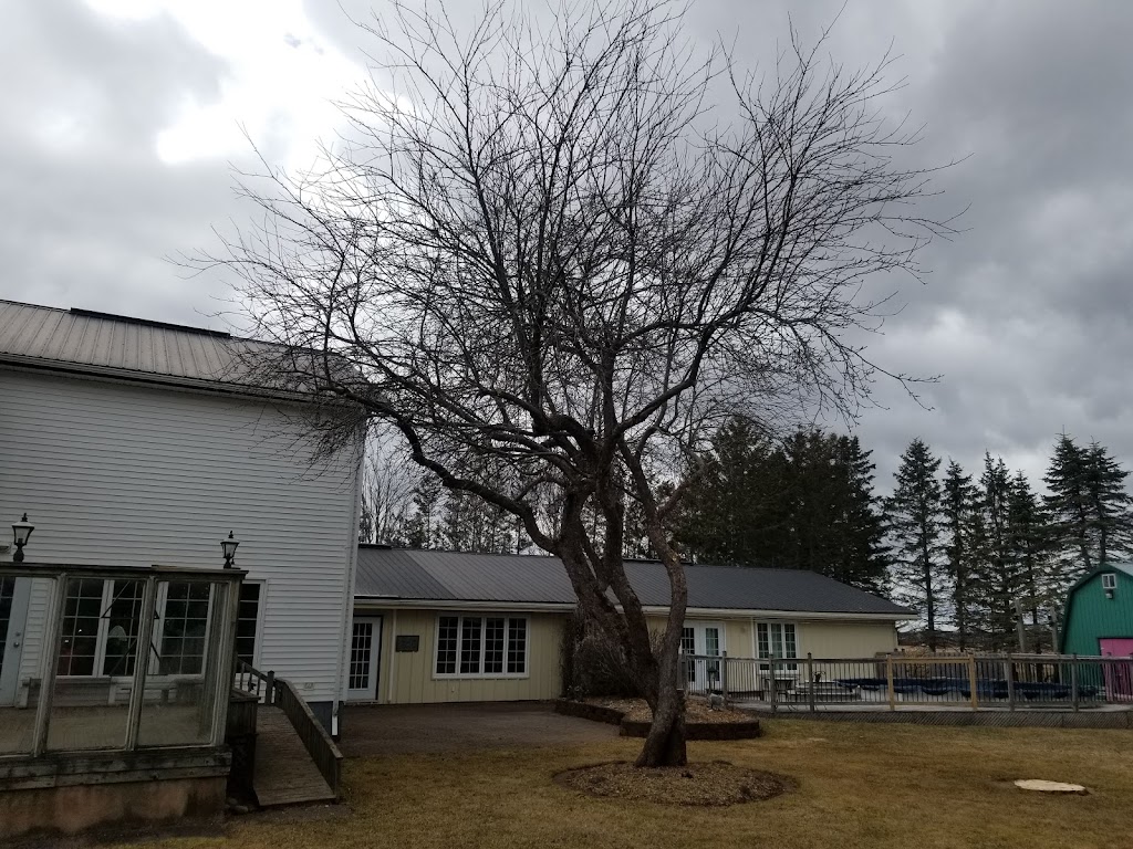 Shaded Tree Service | 10 Mountain Lee Rd, North River, NS B6L 6G8, Canada | Phone: (902) 890-2081