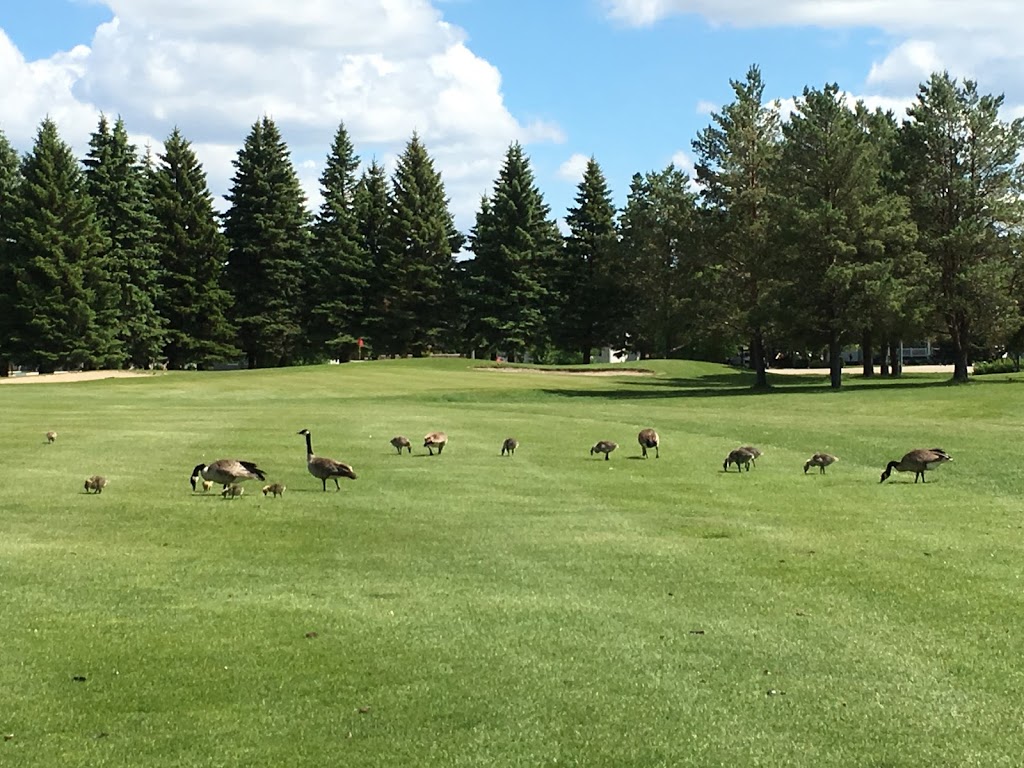 Carman Golf and Curling Club | 4 Ave SW, Carman, MB R0G 0J0, Canada | Phone: (204) 745-2366